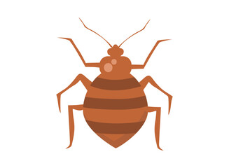 set of an Parasite Disease Bedbug Illustration