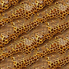honeycomb texture in golden light