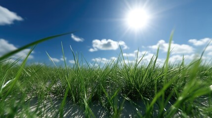 Obraz premium Lush green grass field under a vibrant blue sky