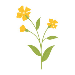 Simple colorful flowers and leaves on a white background. Spring and Summer Season