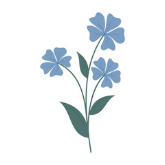 Simple colorful flowers and leaves on a white background. Spring and Summer Season