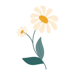 Cute and colorful simple flowers with green leaves on a white background. Spring and Summer Season