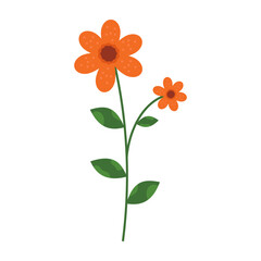 Simple and colorful flower illustrations with green stems and leaves on white background. Spring and Summer Season