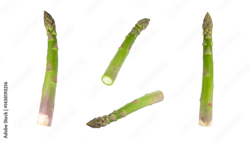 Poster set of four asparagus spears from different angles, isolated on transparent background
