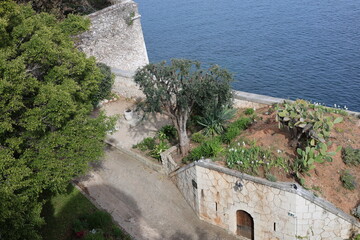 Fototapeta premium old fortress in monaco