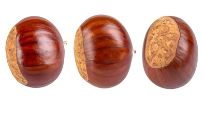 Chestnuts rotating, revealing textured surfaces against transparent backdrop