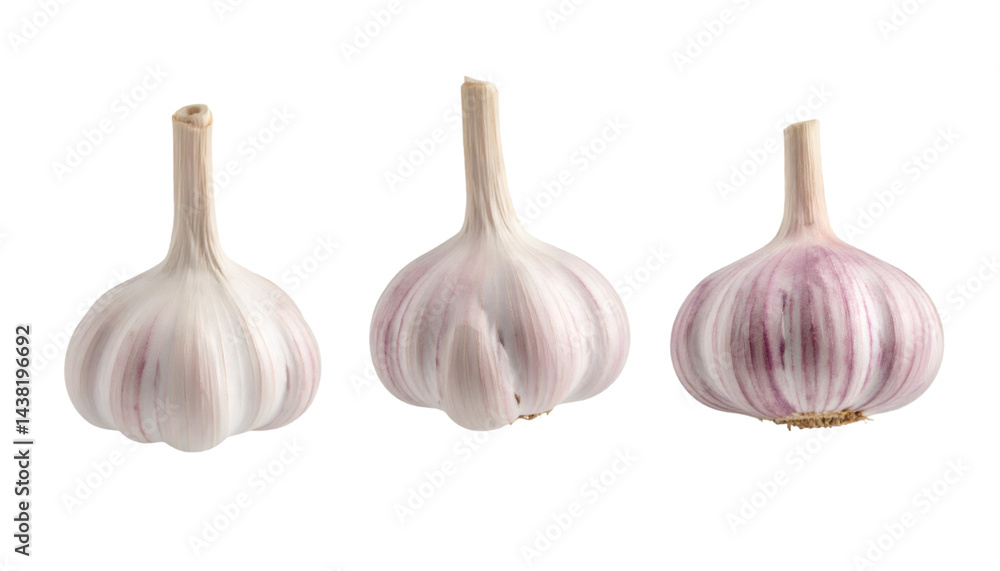 Poster set of three garlic bulbs from different angles isolated on transparent background
