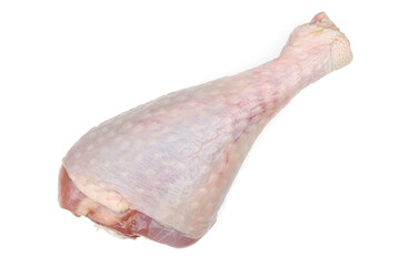 Raw turkey leg isolated on white background
