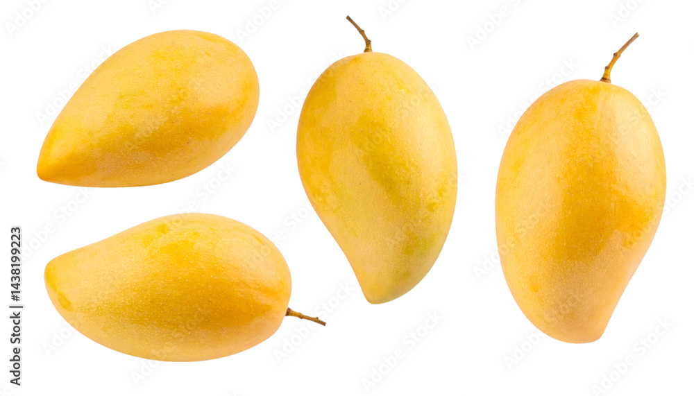 Poster set of four yellow mangoes from different angles isolated on a transparent background with clipping 