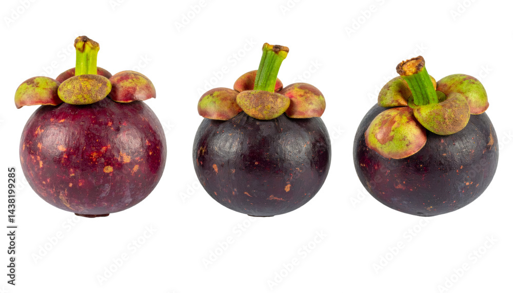 Poster set of three ripe mangosteens isolated on transparent background with clipping path