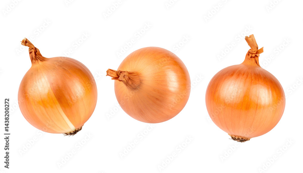 Poster three onions rotating on transparent background