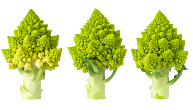 Three Romanesco Broccolis Showing its Fractal Shapes on Transparent Background
