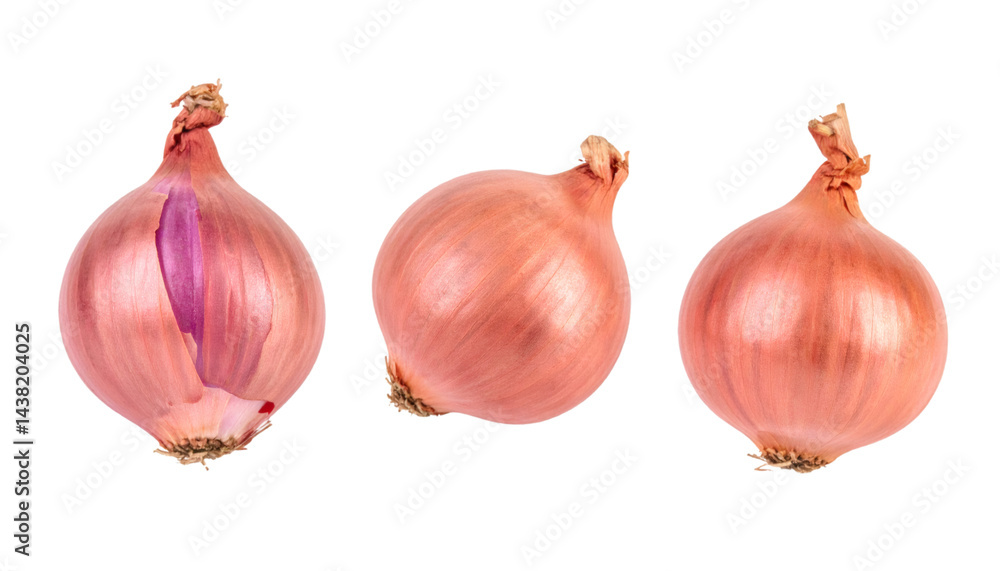 Poster three shallots from different angles isolated on transparent background