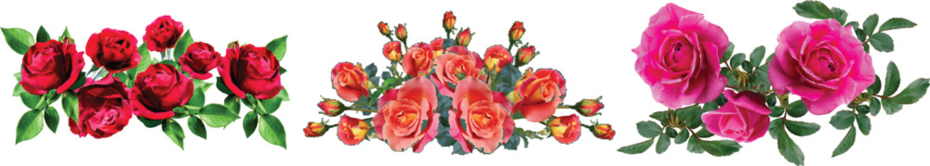 Red and green leaves  vector ,