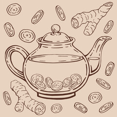 Glass teapot, ginger. Hand drawn vector illustration in outline style.