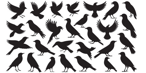 set of vector icon bird silhouette	
