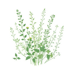 Fototapeta premium Botanical Illustration - herbs in emerald and beige for interior posters 