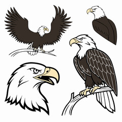 Bald Eagle Illustrations: Vector Line Art, Perched & Spread Wings.