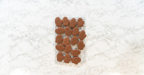 Pale Gingerbread Cookies a festive holiday treat crafted step by step