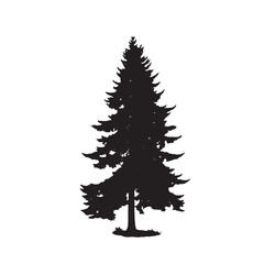 Single Douglas Fir Tree Silhouette Illustration