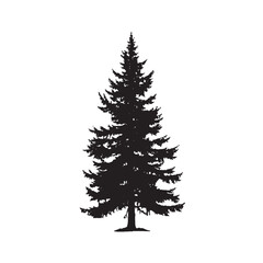 Fototapeta premium Isolated Douglas Fir Tree Silhouette Artwork