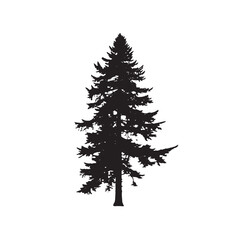 Dark Douglas Fir Tree Silhouette Minimalist