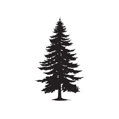 Obraz premium Isolated Douglas Fir Forest Tree Silhouette