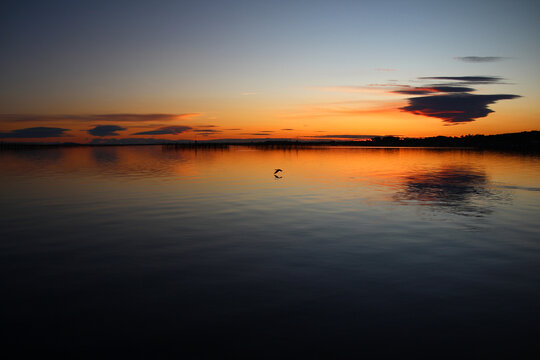 A cormorant skims the twilight surface of the Thau lagoon on a February evening (Bouzigues, H&eacute;rault, France).