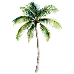 Palm tree illustration dark background