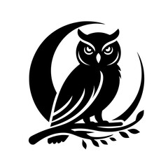 owl on a black background