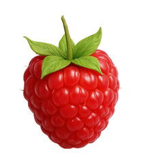 Fresh red raspberry with green leaves on transparent background