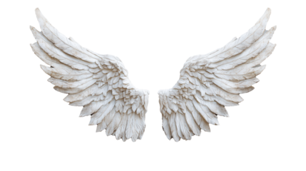 Elegant white angel wings on a transparent background for creative design inspiration and artistic projects