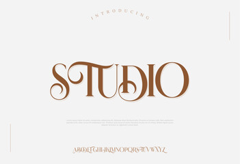 Studio premium luxury elegant alphabet letters and numbers. Elegant wedding typography classic serif font decorative vintage retro. Creative vector illustration