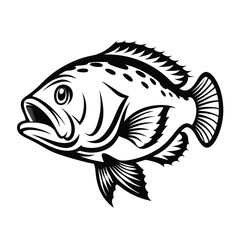 Monochrome Grouper Fish, Side View, Detailed Outlines, Aquatic Animal, Stylized Creature
