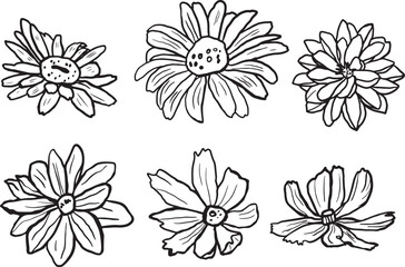 Vector hand drawn outline set of flower icons