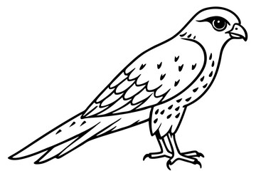 Elegant Kestrel Outline