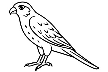Elegant Kestrel Outline