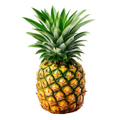 Fototapeta premium Pineapple with green leafy top isolated on white background.