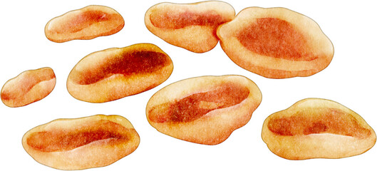 watercolor apricots