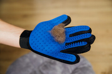 A glove for combing wool. Cat hair on the glove surface. A massage accessory for animals.