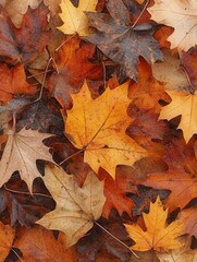 Autumnal Symphony: A Tapestry of Fallen Maple Leaves in Shades of Orange, Brown, and Yellow
