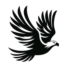 Obraz premium dove with wings