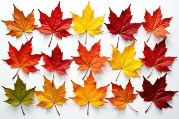 Pile of assorted maple leaves, various hues, white backdrop , element, vibrant, white background