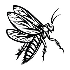Detailed Locust Insect, Monochrome Winged Animal Art, Decorative Black and White Outline