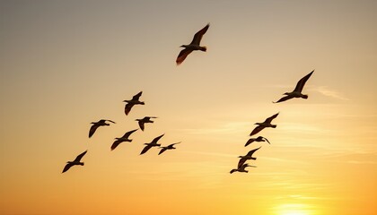 Fototapeta premium Silhouette of Birds in Flight at Sunset