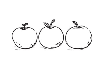 Tangerine set line art