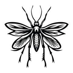 Isolated Beetle Insect, Silhouette Style, Detailed Wing Structure, Black And White Design