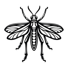 Black & White Outline of Grasshopper, Insect Silhouette with Wings & Antenna Isolated