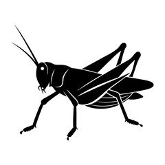 Grasshopper Silhouette vector illustration