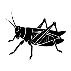Grasshopper Silhouette vector illustration